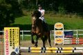 Grand Prix Jasła w Skokach Przez Przeszkody II Eliminacja
