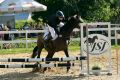 Grand Prix Jasła w Skokach Przez Przeszkody II Eliminacja