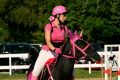 Grand Prix Jasła w Skokach Przez Przeszkody II Eliminacja
