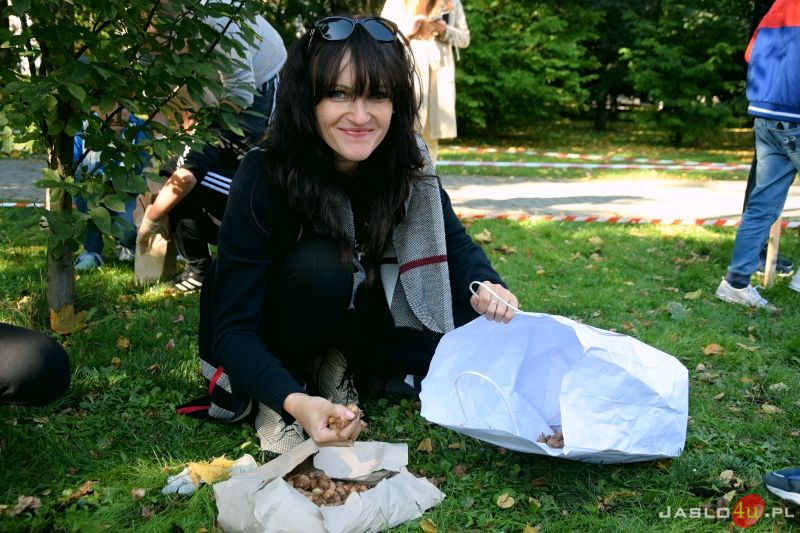 Akcja "Krokus" w Parku Miejskim w Jaśle