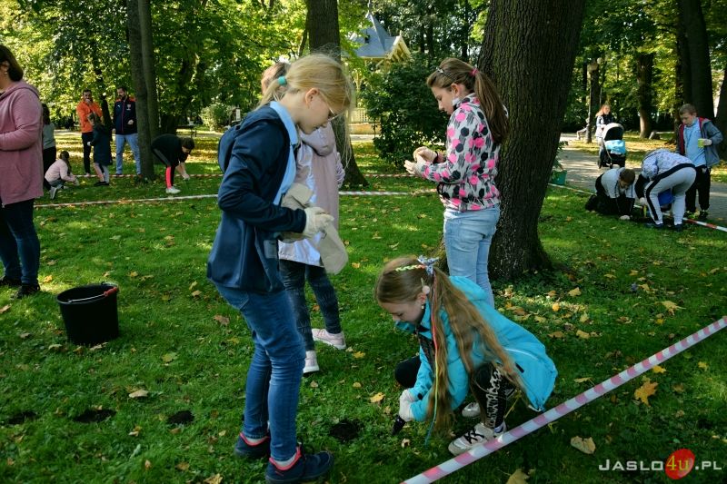 Akcja "Krokus" w Parku Miejskim w Jaśle