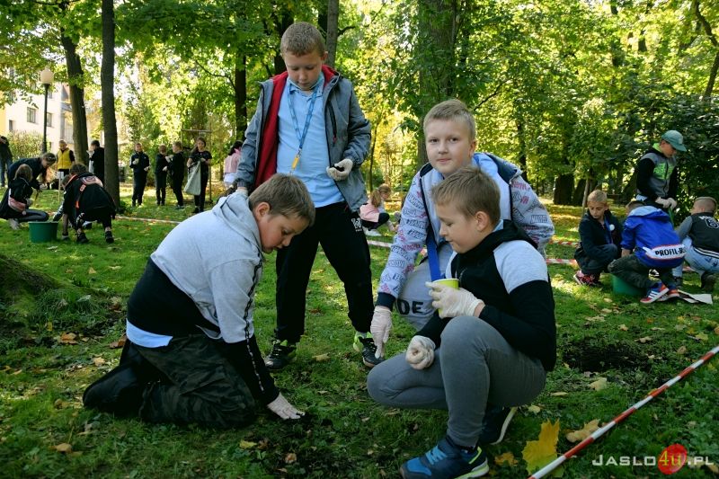 Akcja "Krokus" w Parku Miejskim w Jaśle