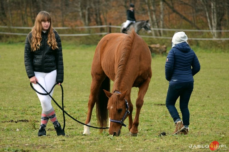 Wielki finał Grand Prix Jasła w skokach przez przeszkody