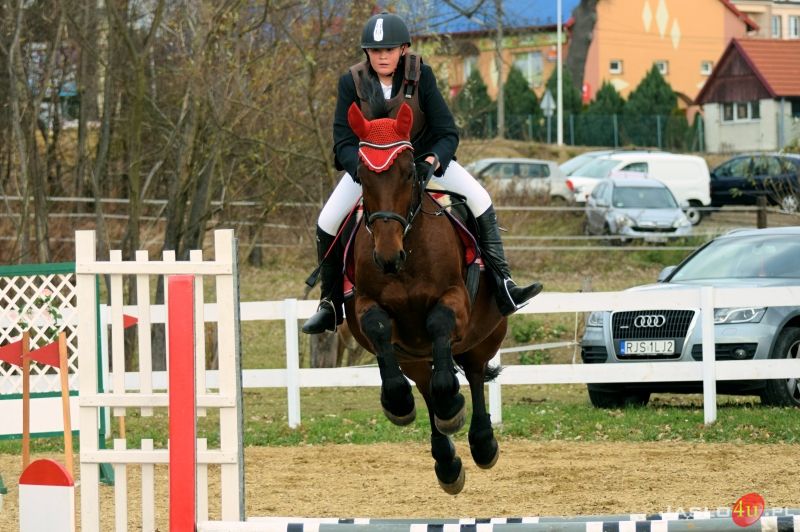 Wielki finał Grand Prix Jasła w skokach przez przeszkody