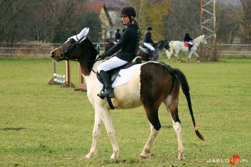 Wielki finał Grand Prix Jasła w skokach przez przeszkody
