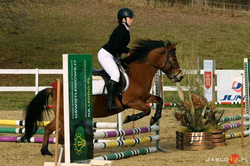 Wielki finał Grand Prix Jasła w skokach przez przeszkody