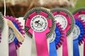Wielki finał Grand Prix Jasła w skokach przez przeszkody
