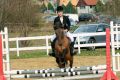 Wielki finał Grand Prix Jasła w skokach przez przeszkody