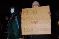 Protest przeciwko ustawie "Lex TVN" w Jaśle