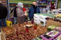 Otwarcie sklepu Bricomarche w Jaśle