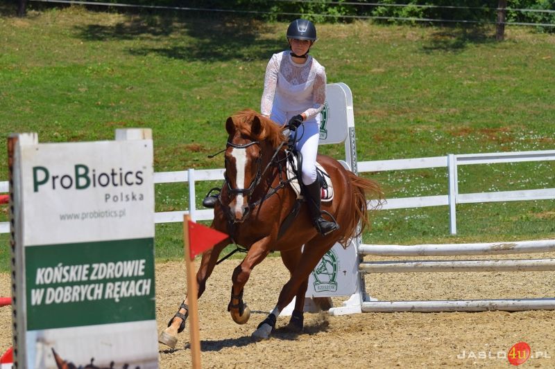 Zawody w skokach przez przeszkody o Puchar Hurtowni ELEKTRO-TECH