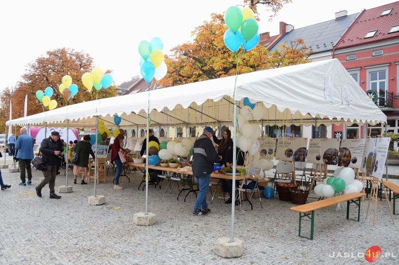 „Piknik ekologiczny z funduszami europejskimi” na jasielskim rynku