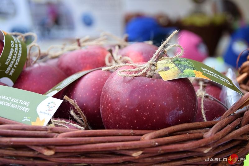 „Piknik ekologiczny z funduszami europejskimi” na jasielskim rynku