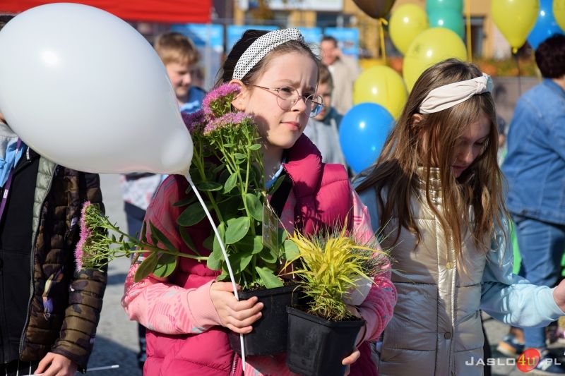„Piknik ekologiczny z funduszami europejskimi” na jasielskim rynku