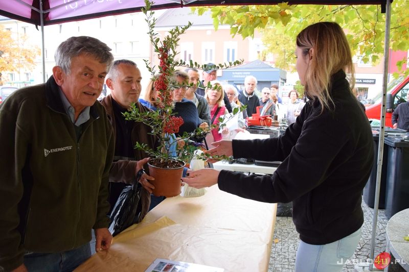 „Piknik ekologiczny z funduszami europejskimi” na jasielskim rynku