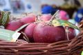 „Piknik ekologiczny z funduszami europejskimi” na jasielskim rynku