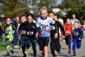 Run & Rollspeed 2022 - zawody w biegach, na rolkach i nartorolkach