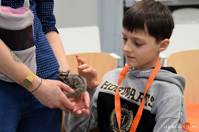 Pokaz zwierząt egzotycznych w Generatorze Nauki GEN