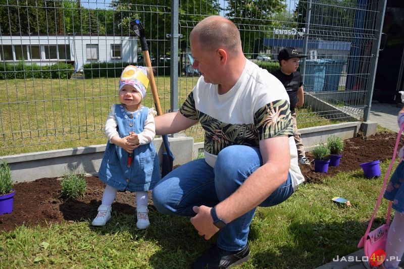 Majowy piknik rodzinny w firmie Tarkett