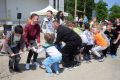 Majowy piknik rodzinny w firmie Tarkett