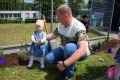 Majowy piknik rodzinny w firmie Tarkett