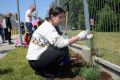 Majowy piknik rodzinny w firmie Tarkett