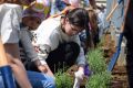 Majowy piknik rodzinny w firmie Tarkett
