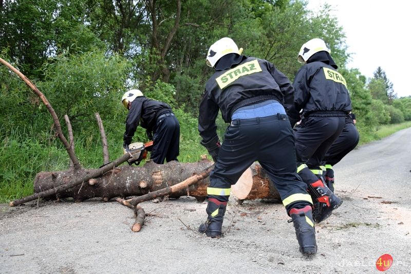 Ćwiczenia strażaków z województwa podkarpackiego - „Jasło 2023”