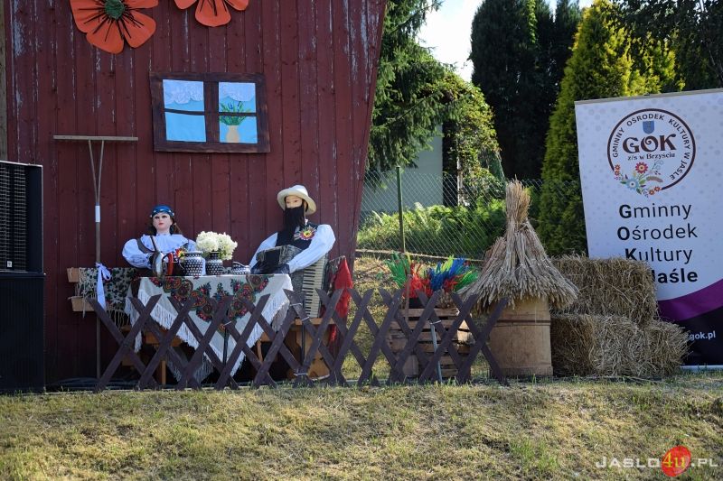 XVIII. Międzynarodowy Festiwal Folkloru Karpat w Trzcinicy