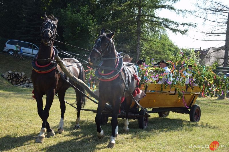 XVIII. Międzynarodowy Festiwal Folkloru Karpat w Trzcinicy