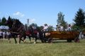 XVIII. Międzynarodowy Festiwal Folkloru Karpat w Trzcinicy