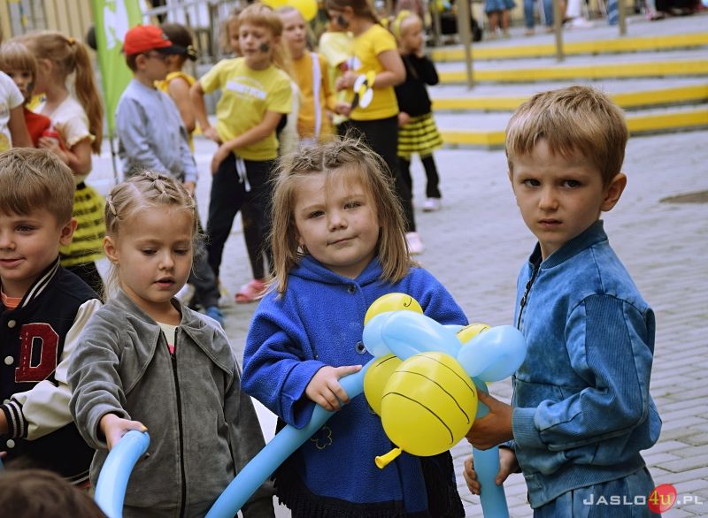 Dzień Pszczół w jasielskim GEN-ie