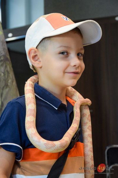 Wystawa zwierząt egzotycznych w JDK