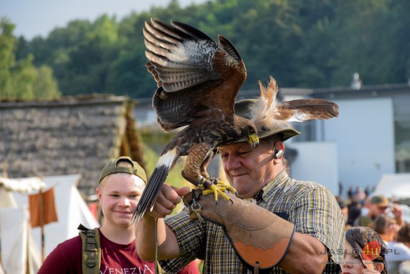 XI. Festiwal Archeologiczny „Dwa Oblicza”