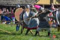 XI. Festiwal Archeologiczny „Dwa Oblicza”