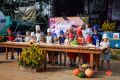 XIII. Podkarpacki Festiwal Smaków Regionalnych Pierogi i Dożynki Powiatowe w Tarnowcu 2023