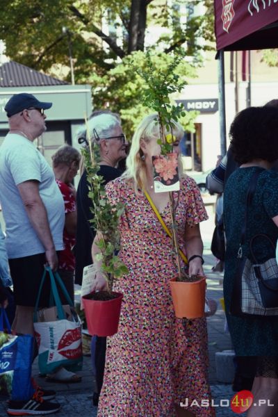 Rewitalizacja w jesiennym plenerze