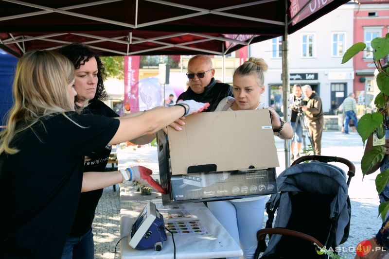Rewitalizacja w jesiennym plenerze