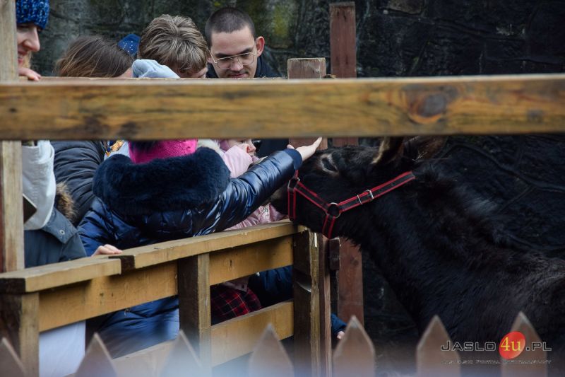 "Żywa szopka" w ogrodzie przy klasztorze oo. francizkanów w Jaśle