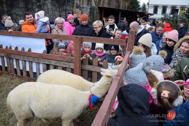 "Żywa szopka" w ogrodzie przy klasztorze oo. francizkanów w Jaśle