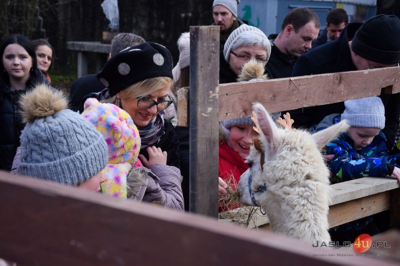 "Żywa szopka" w ogrodzie przy klasztorze oo. francizkanów w Jaśle