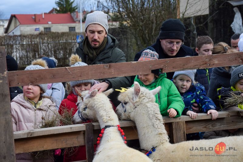 "Żywa szopka" w ogrodzie przy klasztorze oo. francizkanów w Jaśle