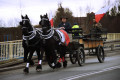 Protest rolników