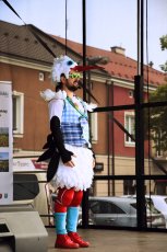 Czyste Powietrze ze ZGDW w Jaśle. Akcja edukacyjno-informacyjna