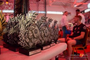 Gala MMA Carpathian Warriors vol. 14 - Jasło 2024