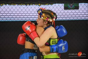 Gala MMA Carpathian Warriors vol. 14 - Jasło 2024