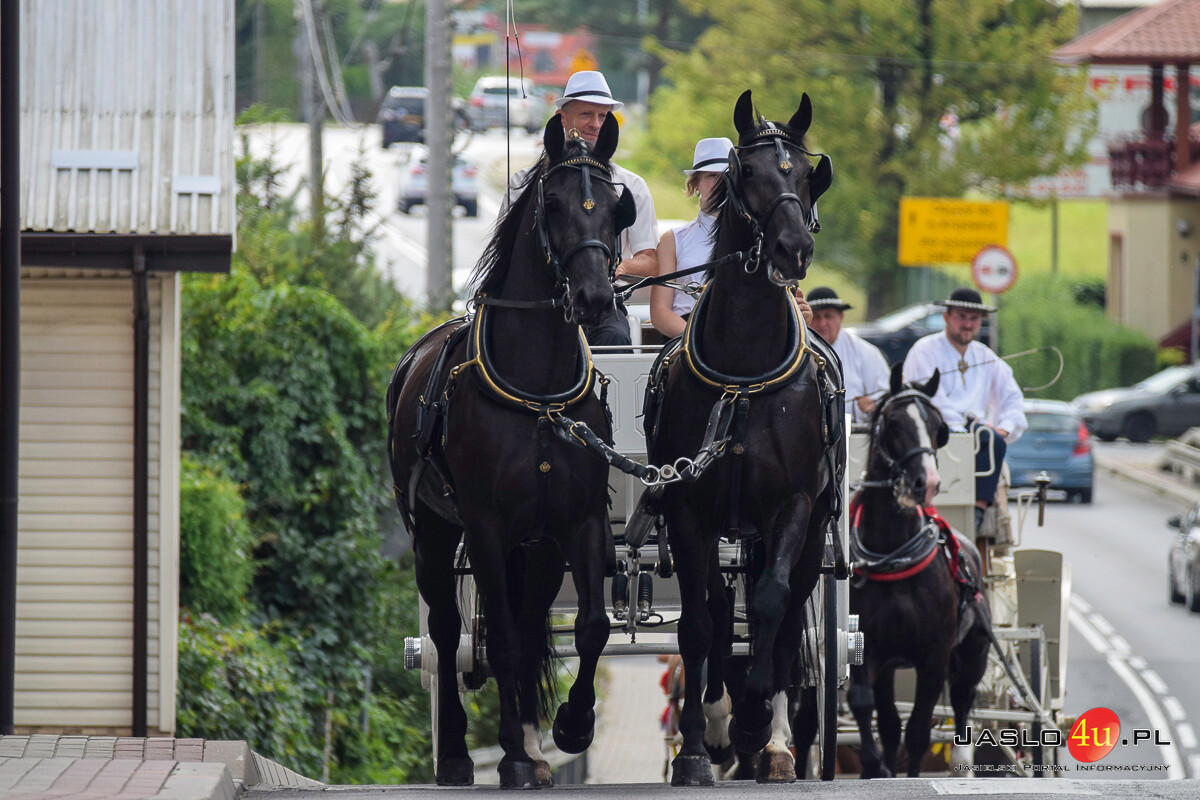 Galicyjskie Lato z Koniem - Bieździedza 2024