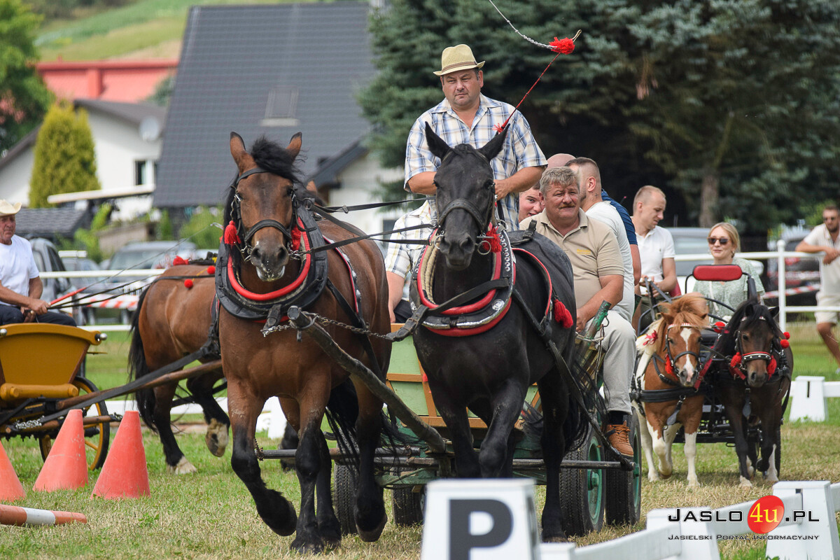 Galicyjskie Lato z Koniem - Bieździedza 2024