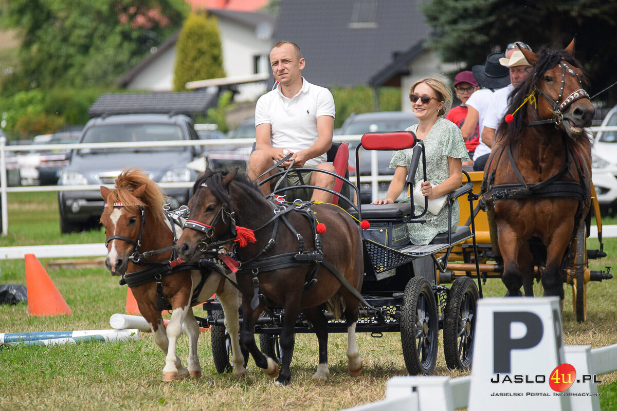 Galicyjskie Lato z Koniem - Bieździedza 2024