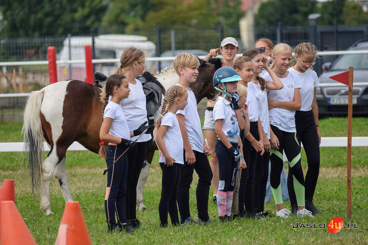 Galicyjskie Lato z Koniem - Bieździedza 2024